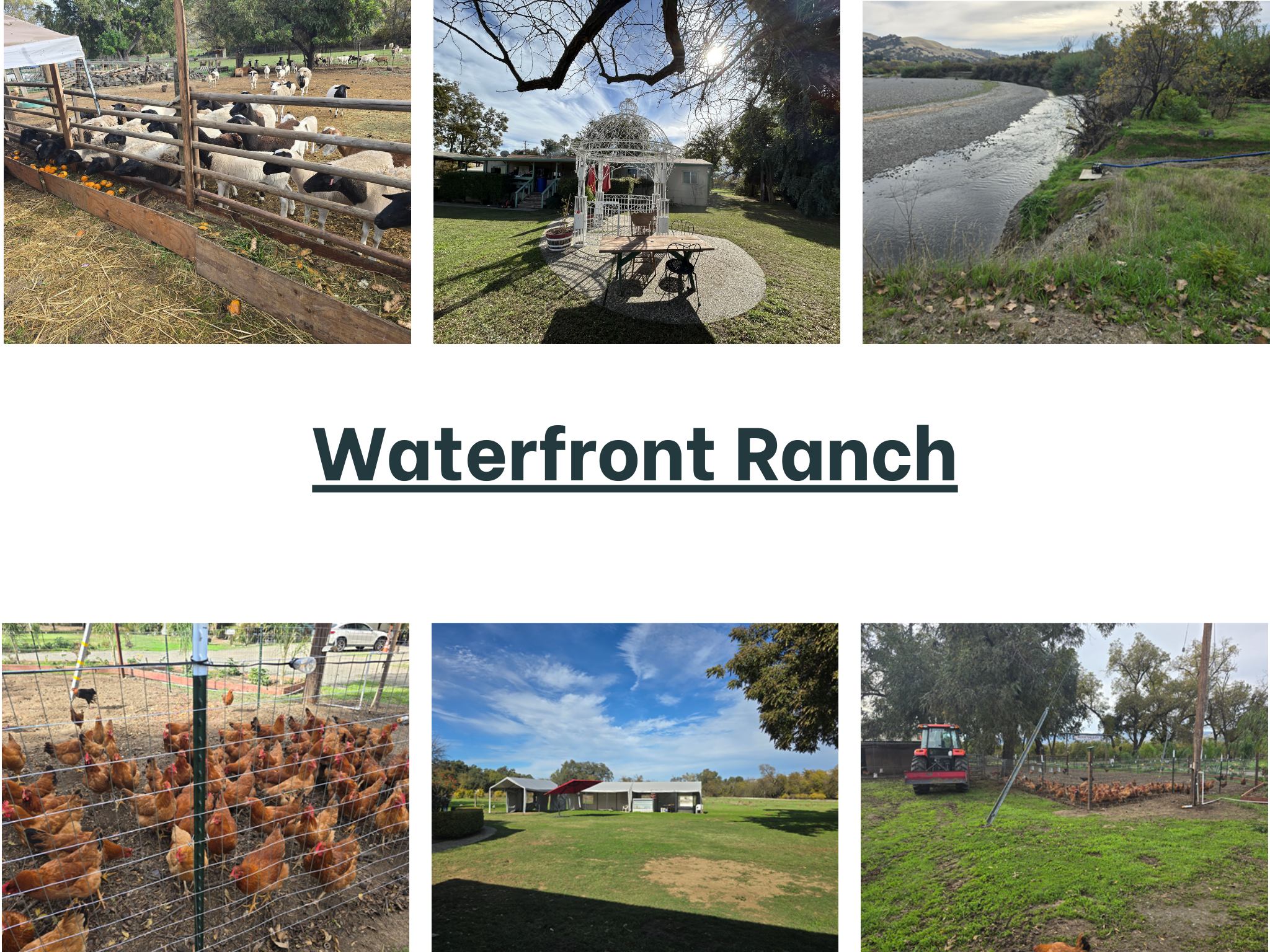 Waterfront No. Cal. Property with Many Features